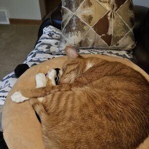 Meet your Posher, Leangela